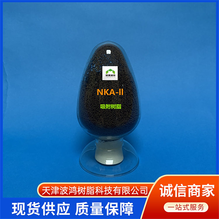 H107大孔吸附树脂 比表面积大 饮用水净化处理 石油化工脱氮